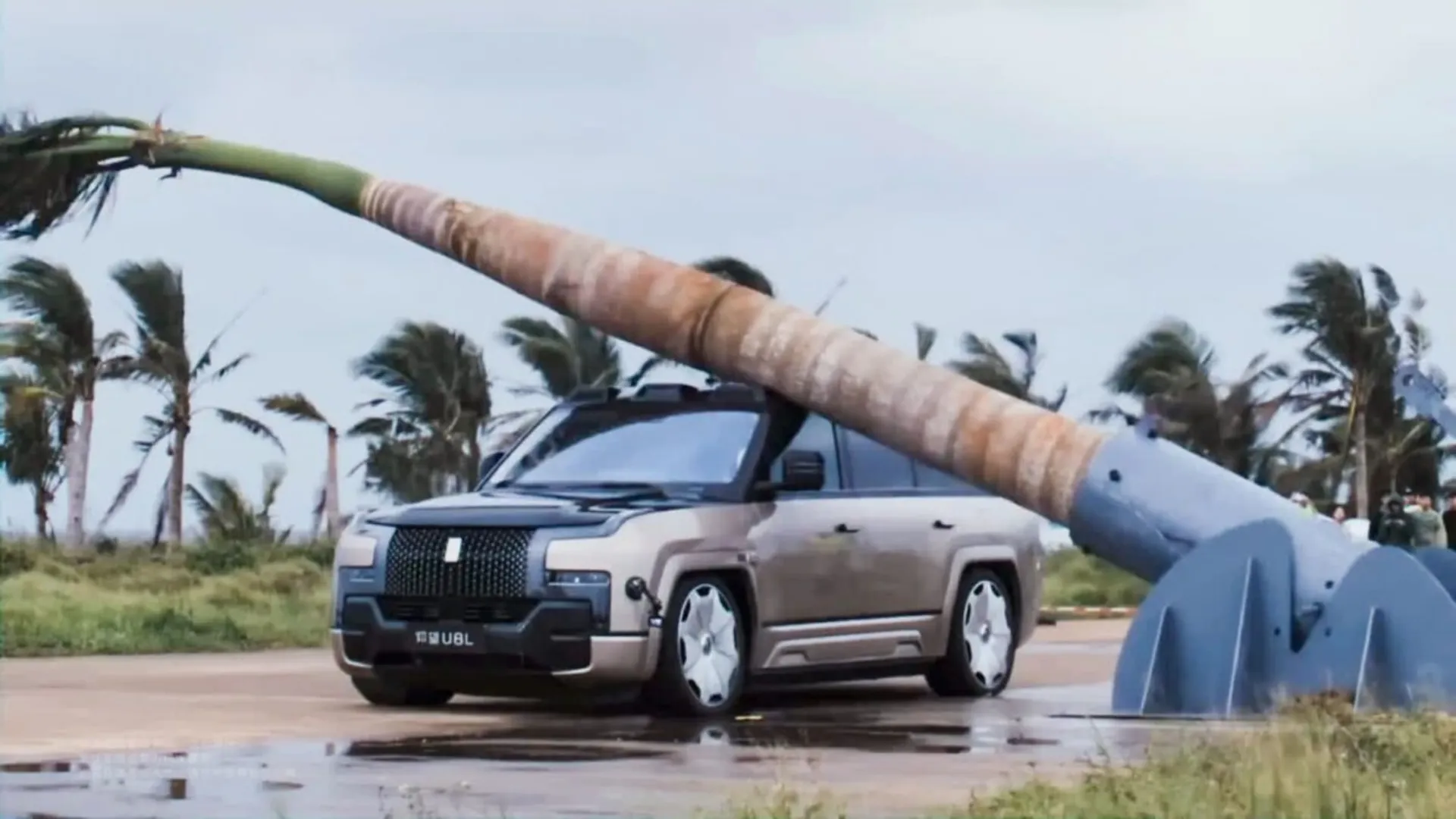 BYD Yangwang U8L Palm Tree Drop Test