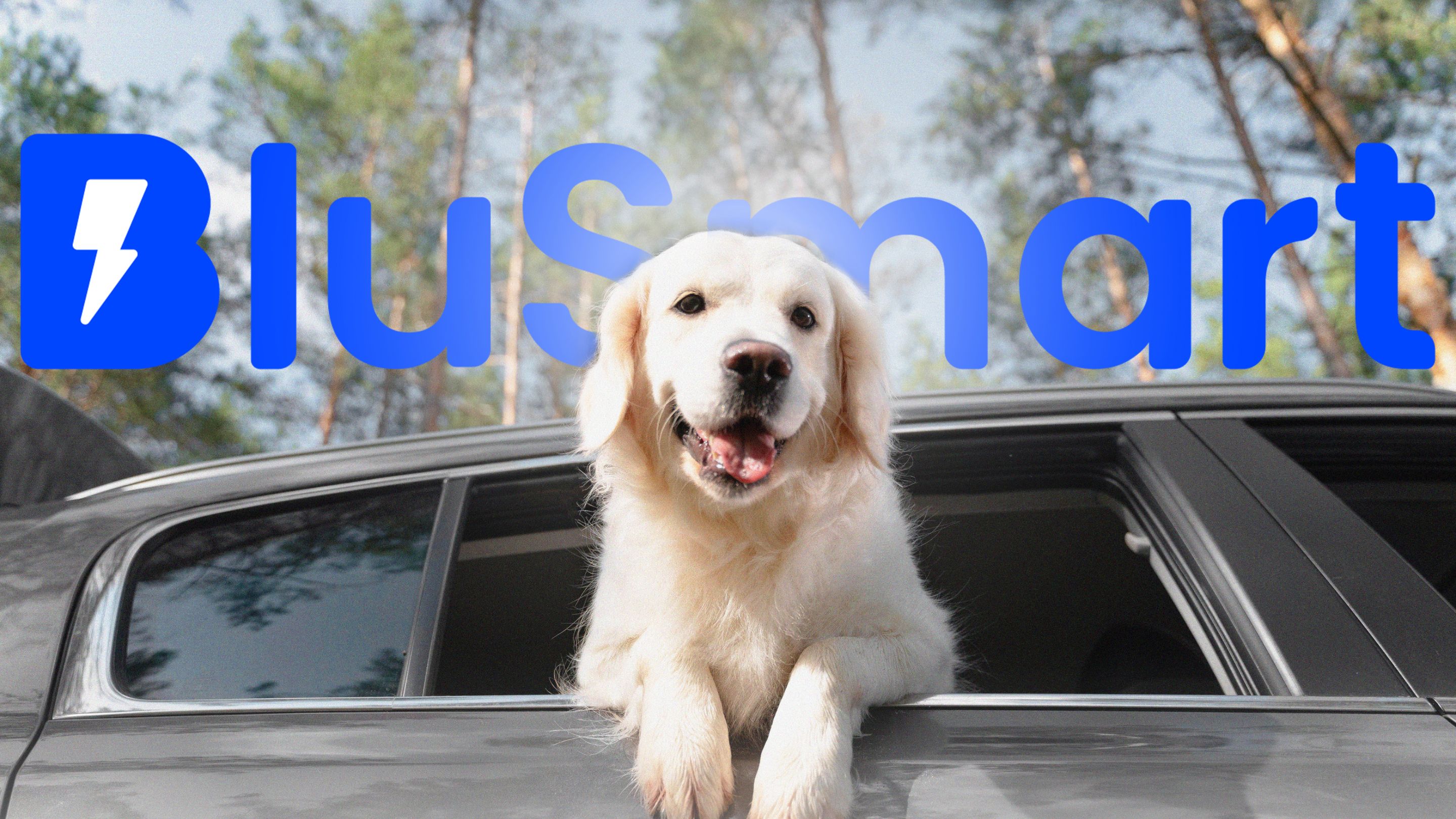 BluSmart Launches Pet-Friendly Rides for Travel in NCR