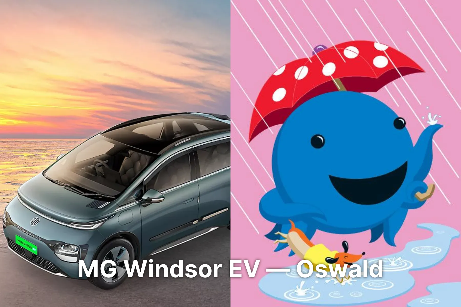 MG Windsor EV - Oswald