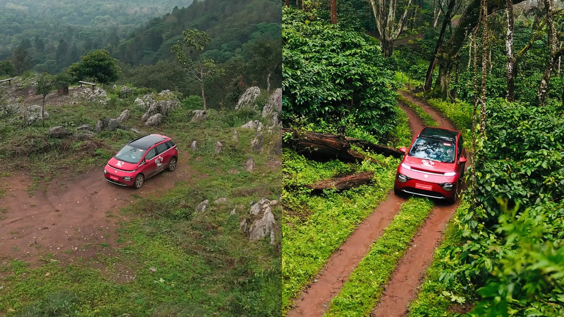 MG Windsor Pro - Watt's in the wild - Incredible India