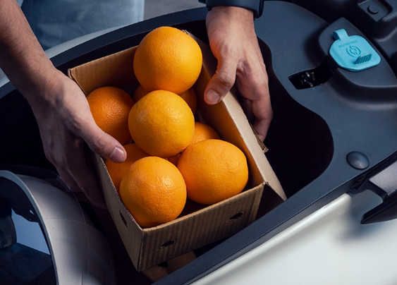 bajaj chetak 3503 storage space