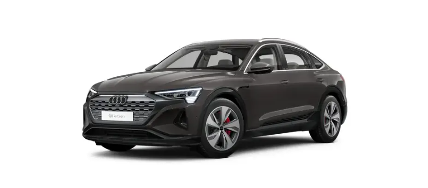 Audi-Q8-Sportsback-e-tron-Terra Gray Metallic