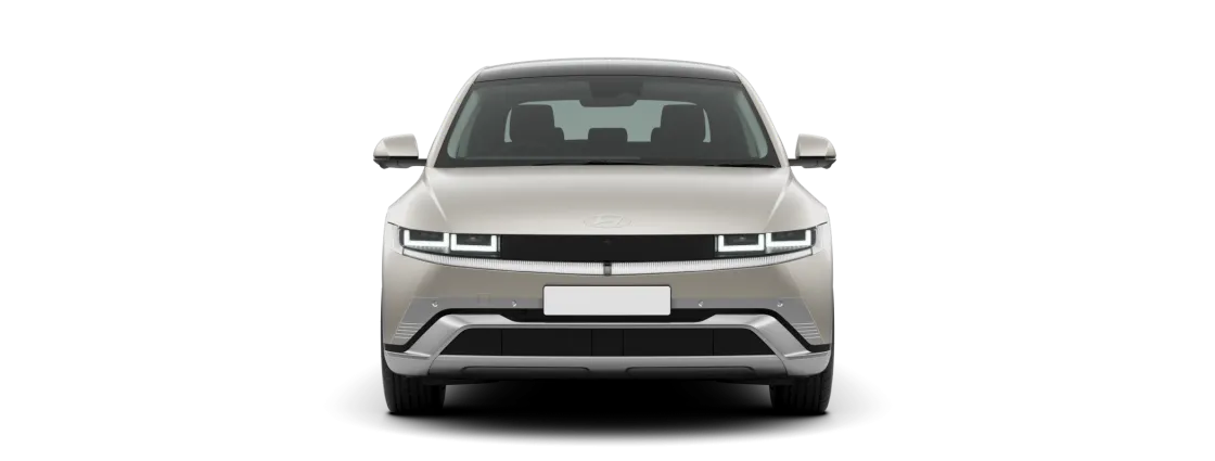 Exterior Ioniq5_01.png