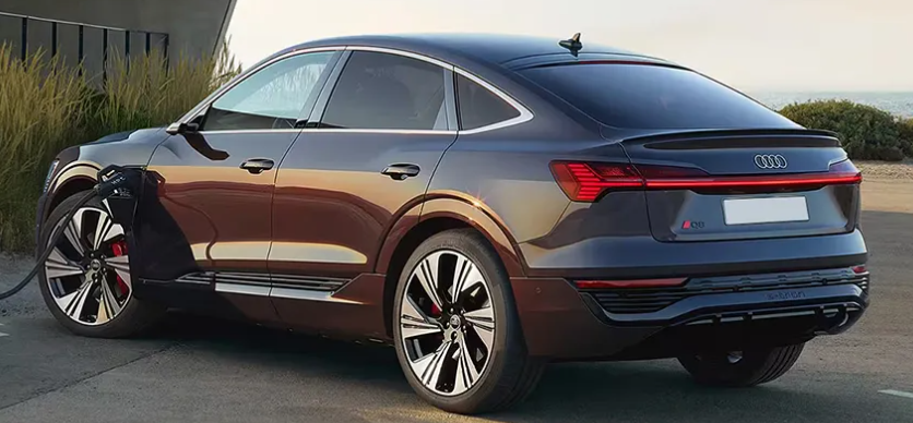 Audi-Q8-Sportback-e-tron-Rear Left View
