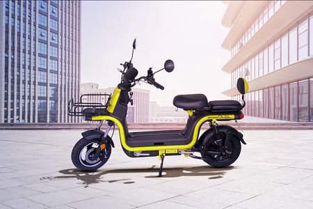 Okinawa-Dual-Ev-Image