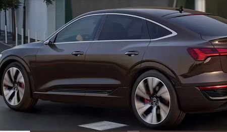Audi-Q8-Sportback-e-tron-Door Handle