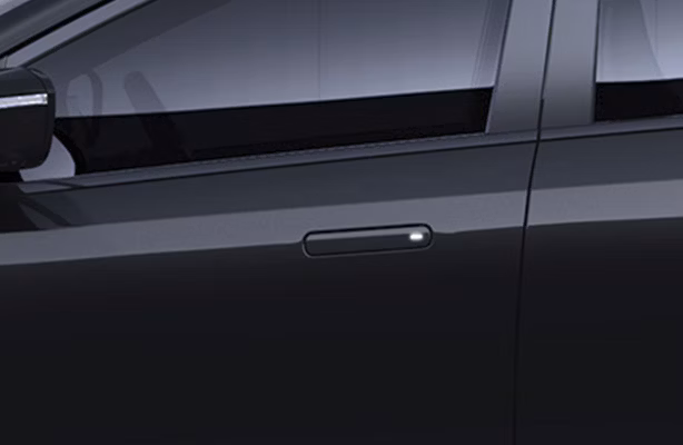 Exterior flush-door-handle-with-welcome-light (Tata Curvv Dark Edition).avif