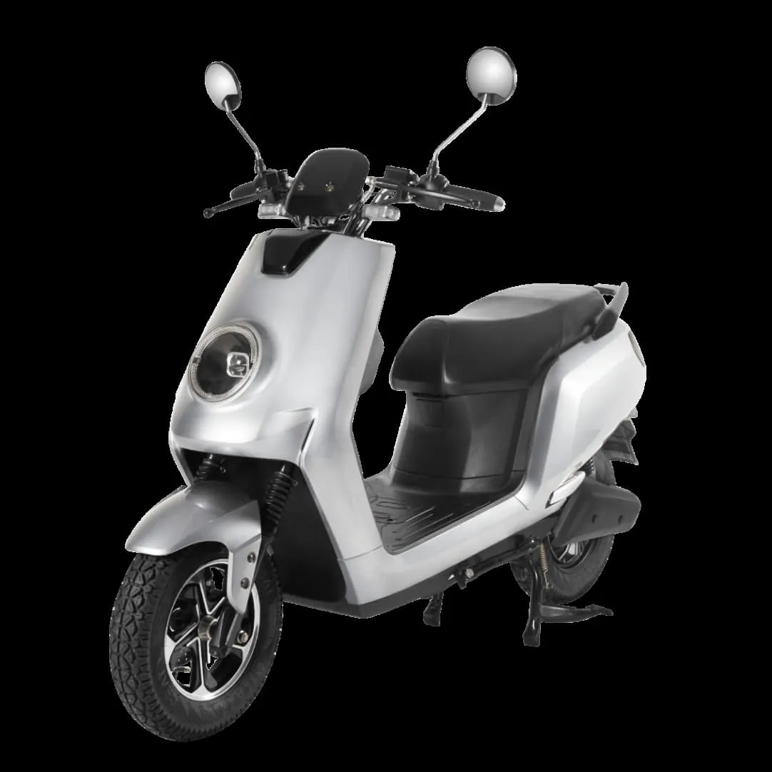 Joy e-bike Glob