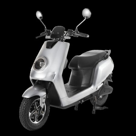 Joy e-bike Glob