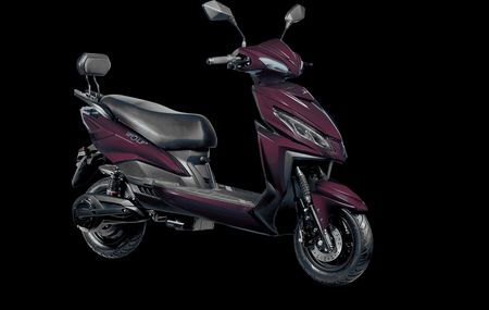 Joy e-bike Wolf Plus