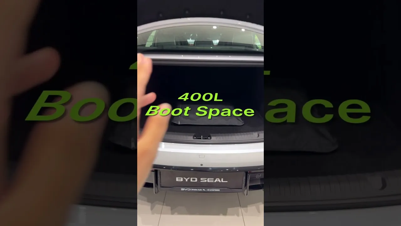 👀 Seals are known for their aggressive behavior, and the BYD Seal⚡ is no different!